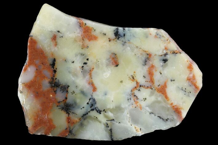 Polished Wanong Dendritic Opal Slab - Australia #96295